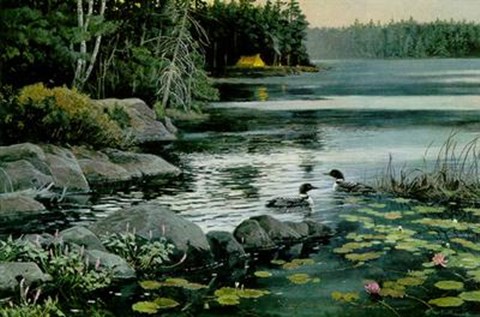 Framed Northern Visitors Print