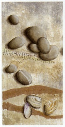 Framed Galets Bleus Et Coquillages Print