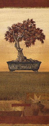 Framed Bonsai IV - Mini Print