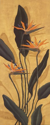 Framed Bird Of Paradise - Mini Print