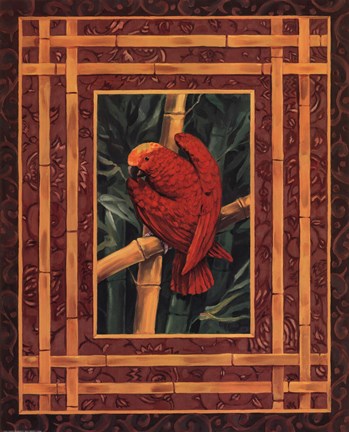 Framed Crimson Parrot Print