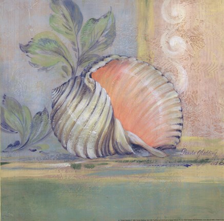 Framed Tranquil Seashells II Print
