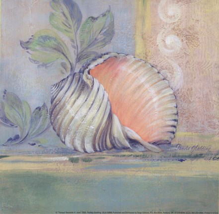 Framed Tranquil Seashells II - Mini Print