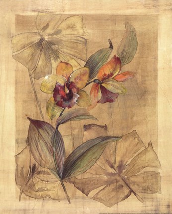 Framed Bahama Breeze I - Mini Print