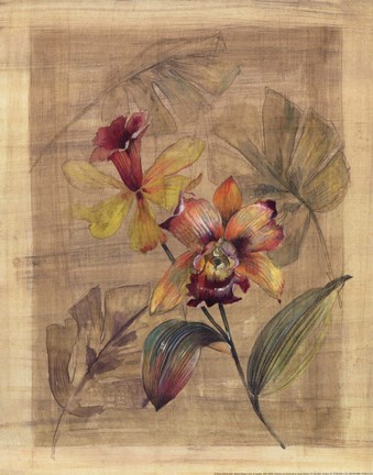 Framed Bahama Breeze II - Mini Print