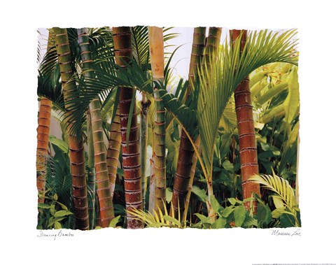 Framed Dancing Bamboo Print