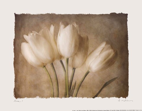 Framed Aria I - Mini Print