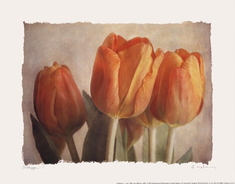 Framed Bellezza I - Mini Print