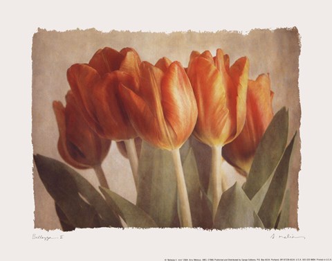 Framed Bellezza II - Mini Print