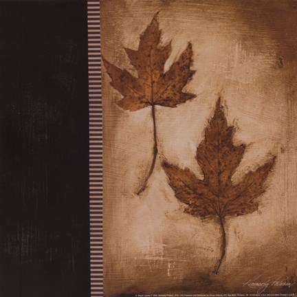 Framed Maple Leaves 2 Print