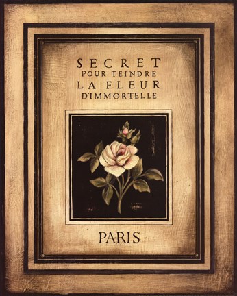 Framed Les Fleurs De Paris I Print