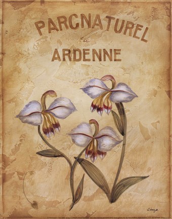 Framed Parcnaturel II - Mini Print