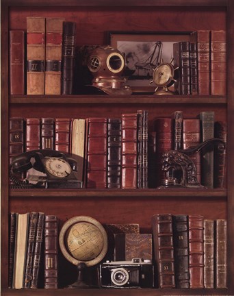 Framed Librairie III - Mini Print