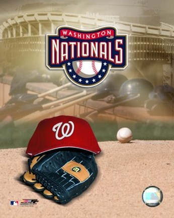 Framed 2007 - Nationals Logo Print