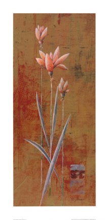 Framed Harmony II Print