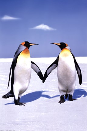 Framed Penguin Love Print
