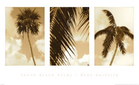 Framed South Beach Palms Print