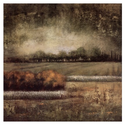 Framed Field at Dawn I Print