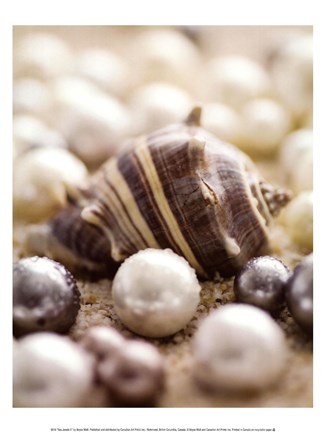 Framed Sea Jewels II Print