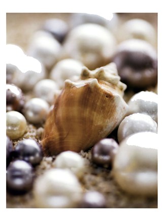 Framed Sea Jewels III Print