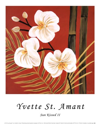 Framed Sun Kissed II Print