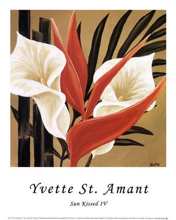 Framed Sun Kissed IV Print