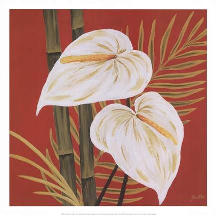 Framed Sun Kissed I Print