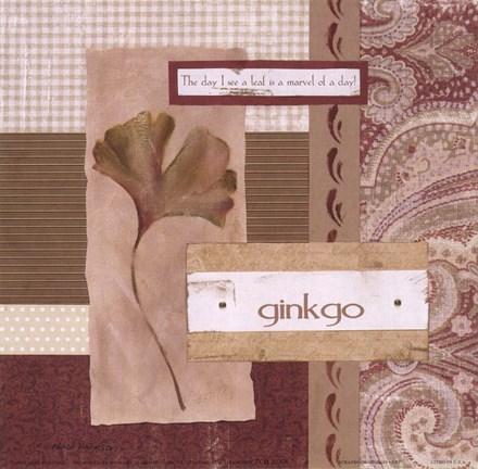 Framed Scrapbook Gingko Leaf Print