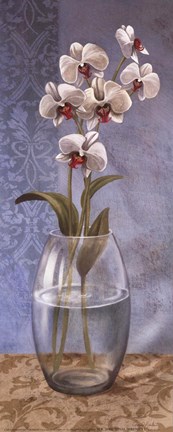 Framed Final Serenity I Print