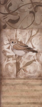Framed Song Bird II Print