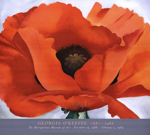 Framed Red Poppy Print