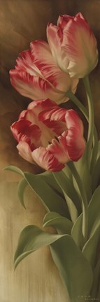 Framed Spring&#39;s Parrot Tulip II Print