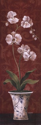Framed Organic Orchids II Print