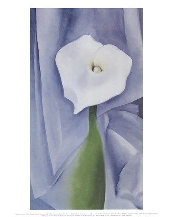 Framed Calla Lily on Grey, 1928 Print