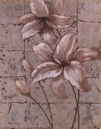 Framed Lilies on Silver II Print
