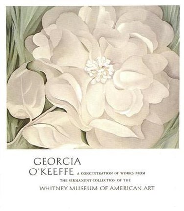 Framed White Calico Flower, 1931 Print