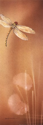 Framed Dragonflight I Print