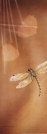 Framed Dragonflight II Print