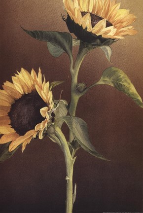 Framed Isabell&#39;s Garden I Print