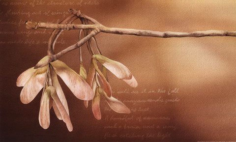 Framed Thacker's Tree And Flight Print