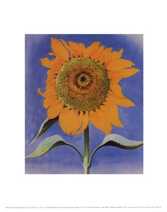New Mexico Floral Art Print Pster 24x36 Sunflower 1935 by Georgia O'Keeffe 
