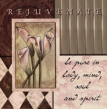 Framed Sage &amp; HarlequinRejuvenate Print