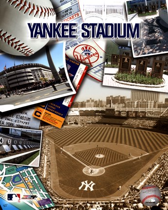 Framed Yankee Stadium Composite Print