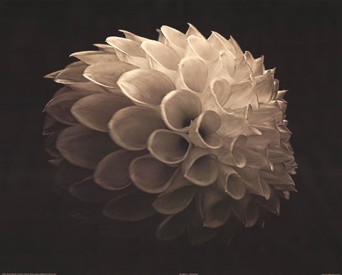 Framed For Ruthie (detail) Print