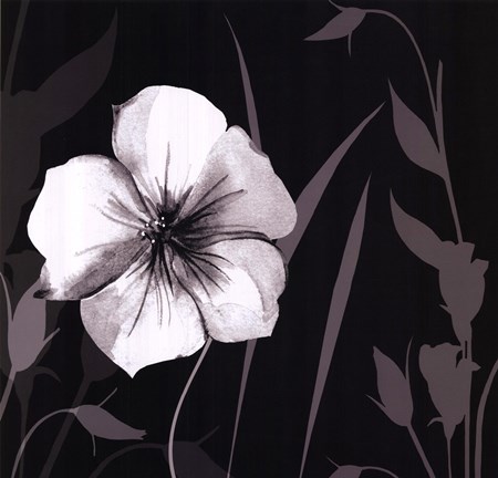 Framed Ebony and Ivory I Print