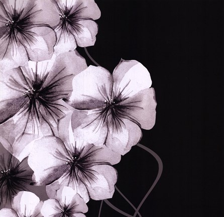 Framed Ebony and Ivory II Print