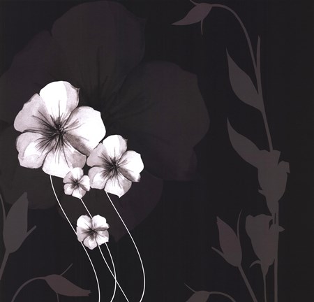 Framed Ebony and Ivory III Print