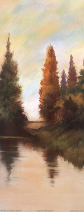 Framed Pine Tree Lake IV Print