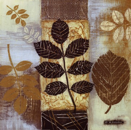 Framed Patterns of Nature II Print