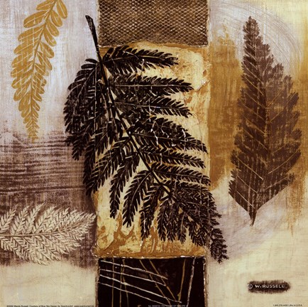 Framed Patterns of Nature III Print